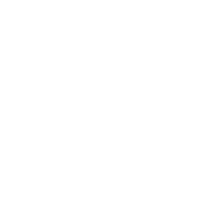 BR01